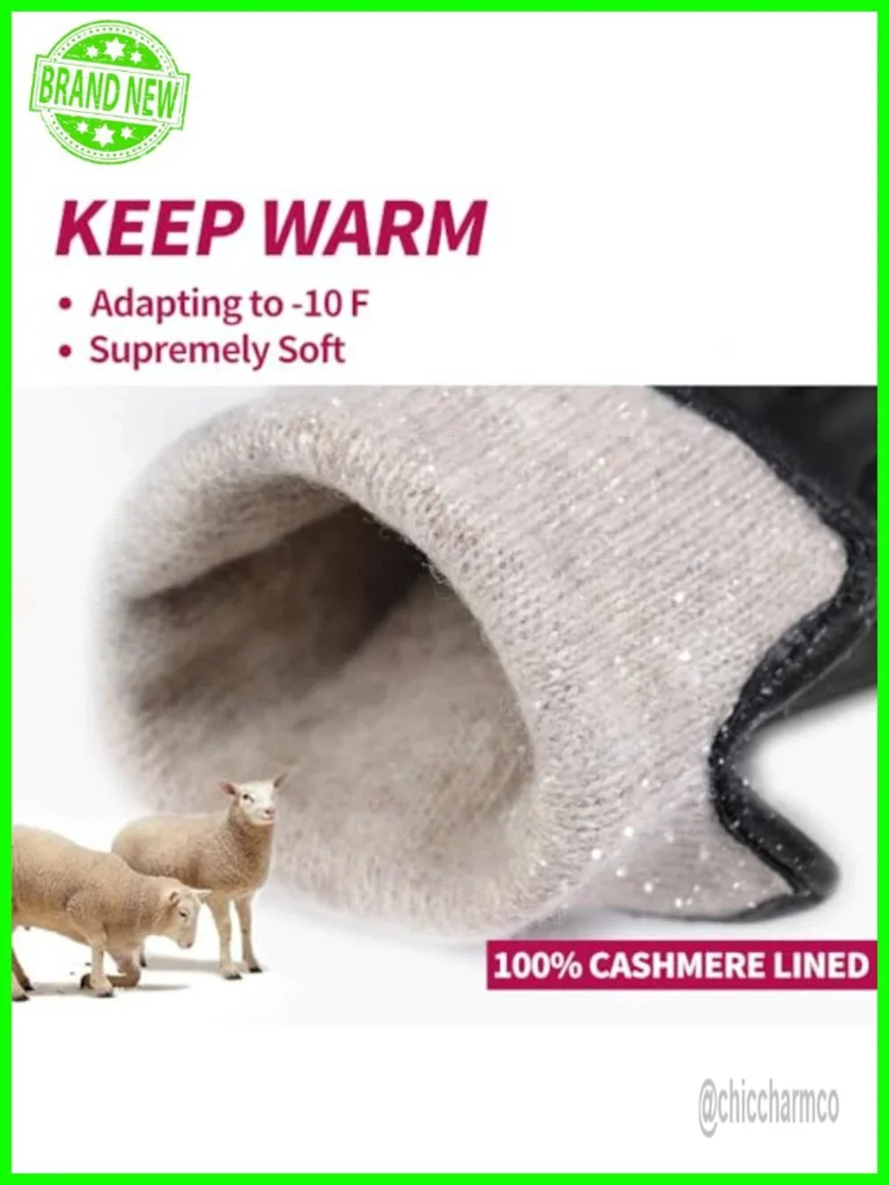 Women's Genuine Sheepskin Leather Gloves with Cashmere Lining, Touchscreen